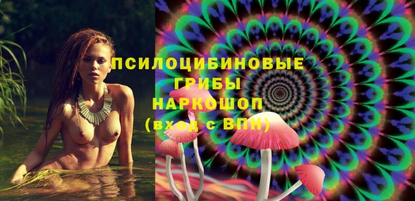 прущая мука Абаза