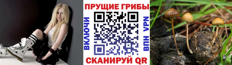 Галлюциногенные грибы ЛСД Урень